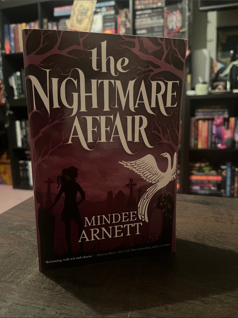 The Nightmare Affair by Mindee Arnett Paperback